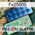 Fx25000 new02